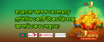 সাপ্তাহিক ভিআইপি ক্যাশব্যাক অফার promotion screenshot